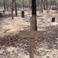 Ексгумація в Ізюмі триватиме ще два тижні, шукають нові захоронення – мер