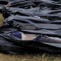 МЗС Німеччини вважає геноцидом дії російської армії в Україні