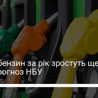 Пальне дорожчатиме до 20% на рік – НБУ