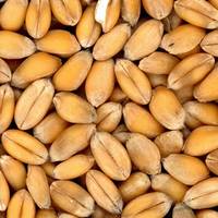 Росія заявила, що повертається до 