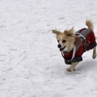 Чи потішить українців погодою грудень: прогноз від народного синоптика на перший місяць зими