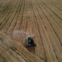 Росія вкрала української пшениці щонайменше на 1 мільярд доларів