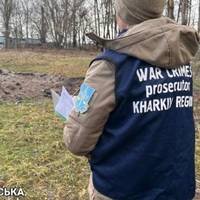 Батько і 7-річний син підірвались на міні у селі на Харківщині