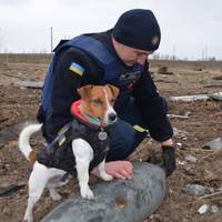 Вийшла перша серія мультику про пса-сапера Патрона (Відео)