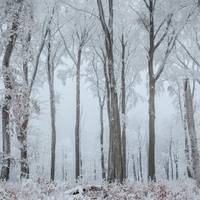 Синоптик розповів, коли до України знову повернуться морози