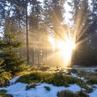 Майже літо посеред зими: синоптик здивував оновленим прогнозом погоди до кінця тижня