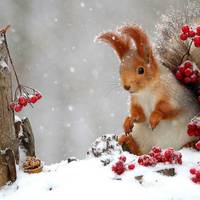Коли до України повернеться 
