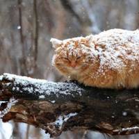 Справжня зима ще попереду: синоптик назвав дату різкого похолодання