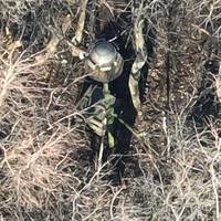 Війська РФ почали застосовувати проти українських дронів нові засоби РЕБ. Відео