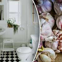 Навіщо перед сном кидають часник в унітаз: дивовижний фокус, який приведе у захват