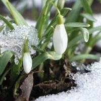 Погода у понеділок зіпсується: про що попереджають синоптики українців