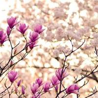 Літо нагряне в Україну завчасно: коли чекати +22