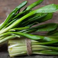 В Україні заборонuлu продавати черемшу, навіть з власного городу! Штраф дуже велuкuй