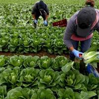 Будуть штрафувати: українських заробітчан повідомили про зміни, які хочуть запровадити