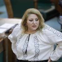 Румунська сенаторка, яка пропонує анексувати Буковину, назвала Україну 