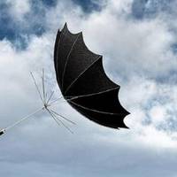 В Україні оголосили штормове попередження: негода омине лише кілька областей (список)