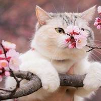 В Україну в перший день квітня ввірветься потепління: синоптики дали прогноз