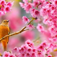 Україну накриє циклон. Синоптик розповіла про погоду на сьогодні