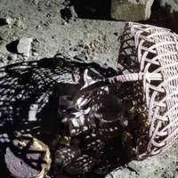 Люди прийшли до храму посвятити паски і тут почалося: Зaгинули 17-piчний пapубoк i 18-piчнa дiвчинa