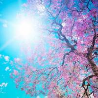 Коли нарешті припиняться дощі та буде сухо: синоптик назвав дату