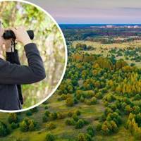 Зубів більше, ніж акула. У Чорнобилі показали дивовижну істоту (Фото)