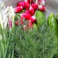 У яких ранніх овочах найбільше нітратів та що краще не їсти взагалі