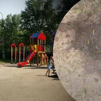 Вибух на дитячому майданчику під Херсоном: вибухівку принесла 10-річна дівчинка