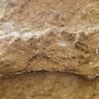 Найдавніший в історії слід людини: чия нога залишила відбиток 153 тис. років тому