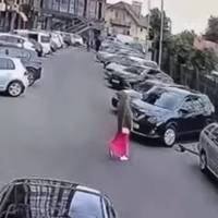 Поліція розшукала жінку, яка в Луцьку переїхала на смерть собаку і навіть не зупинилася (Відео)