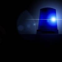 У Дніпрі померла 16-річна дівчина після того, як переїла свіжих ягід