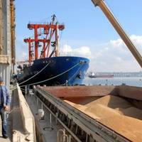 Безкоштовне зерно для Африки: Білий дім пояснив задум Путіна