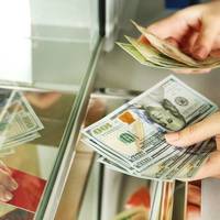 Цінопад в банках та обмінниках: як долар подешевшав за добу