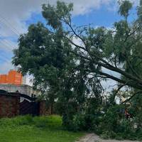 Негода наробила лиха на Київщині: без світла тисячі родин