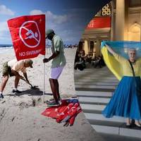 У Нью-Йорку акула напала на українку: вона в критичному стані – ЗМІ