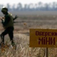 В українських школах з'явиться новий обов'язковий курс