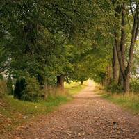 Розкочегарить наче влітку: синоптики пообіцяли українцям +30 у вересні