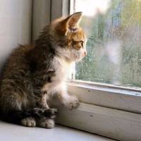 До України суне похолодання: синоптикиня назвала точні дати