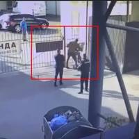 Двох народних депутатів звинуватили в побитті чоловіка в Києві: відомо подробиці. Відео