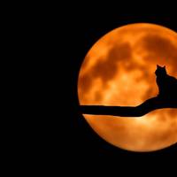 Що означає п'ятниця 13-го: прикмети, заборони