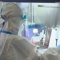 В Україні з'явився новий різновид штаму 