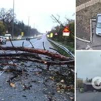 В Україні оголошено штормове попередження: у Києві вітер валить дерева, Львівщина й Рівненщина частково без світла