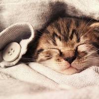 Вночі Україна перейде на зимовий час: поспимо на годину довше