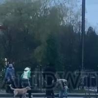 70-річний пенсіонер накинувся з ножем на українця через вигул собаки: тепер може 