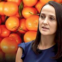 “Золоті” мандарини для дітей: ексдиректорка полтавського підприємства втрапила в корупційний скандал