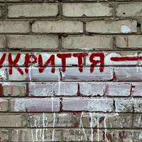 Двох дітей з собачкою не пустили до укриття під час тривоги: на ситуацію відреагував освітній омбудсмен