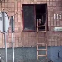 Кодовий замок у будинку – це шлях до Сатани: пенсіонерка вже кілька років пробирається до будинку через вікно