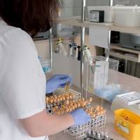 Вперше за 10 років: у Чернівецькій області зафіксували спалах кашлюку: де найбільше хворих