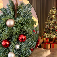 Священник розповів, чи можна ставити ялинку після смерті родича