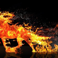 Рік Вогняного Коня 2026: кому найбільше усміхнеться удача