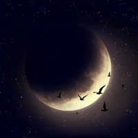 Перший молодик року змінить життя шести знаків Зодіаку: кого це торкнеться